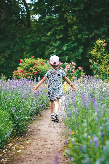 Girl running away in the garden among blooming lavender