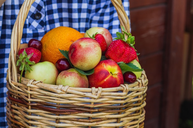 The girl's hands hold nectarines, oranges, strawberries, cherries and mint leaves, which lie in a wicker basket.