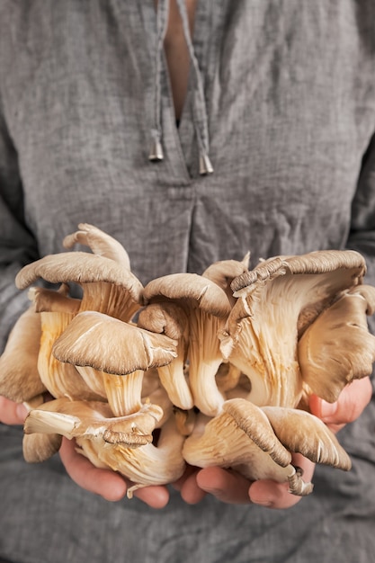 The girl shows a fresh harvest of oyster mushrooms in her hands