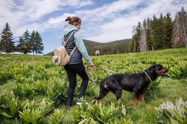 Girl in suit walks with dog of Rottweiler breed along meadow with mountain vegetation against background of trees