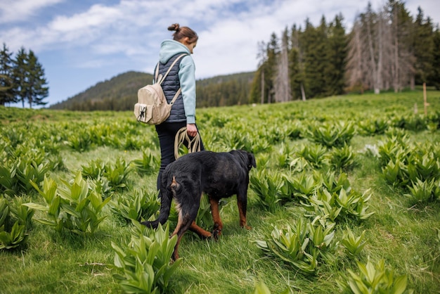 Girl in suit walks with dog of Rottweiler breed along meadow with mountain vegetation against background of trees