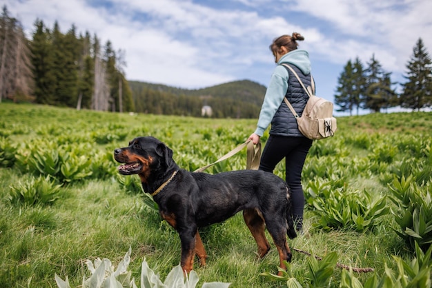 Girl in suit walks with dog of Rottweiler breed along meadow with mountain vegetation against background of trees