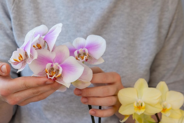 The girl takes care of phalaenopsis orchids Houseplants hobbies flower growing lifestyle