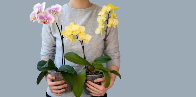 The girl takes care of phalaenopsis orchids Houseplants hobbies flower growing lifestyle