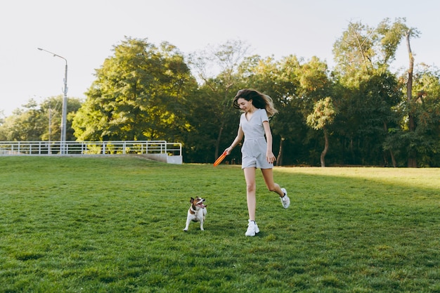 Girl throwing orange flying disk to small funny dog, which catching it on green grass. Little Jack Russel Terrier pet playing outdoors in park. Dog and owner on open air.