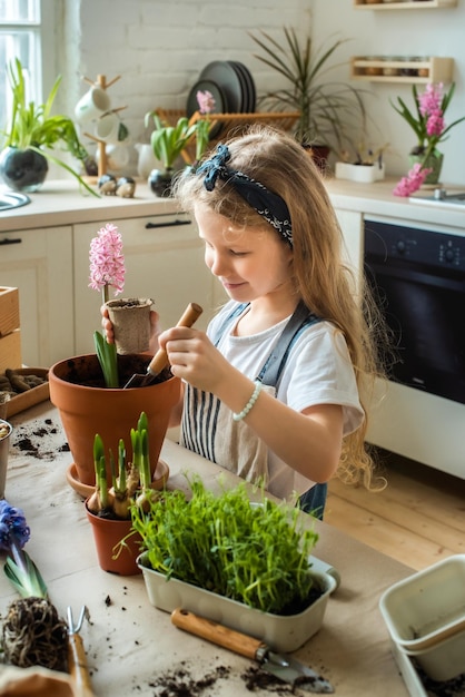 Girl transplants flowers and houseplants a child in a bandana plants bulbs hyacinths microgreens