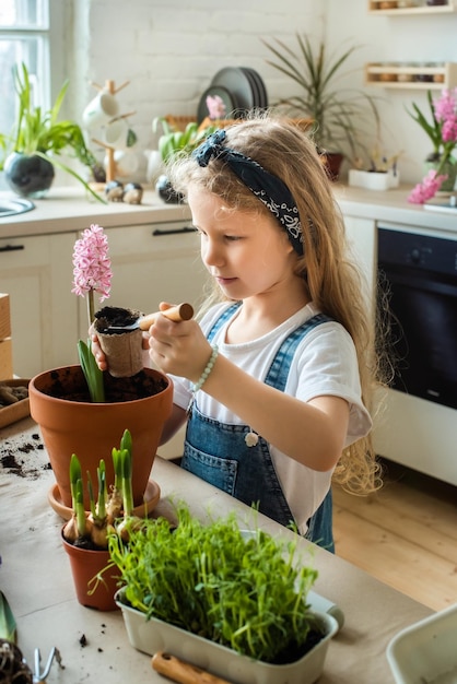 Girl transplants flowers and houseplants a child in a bandana plants bulbs hyacinths microgreens