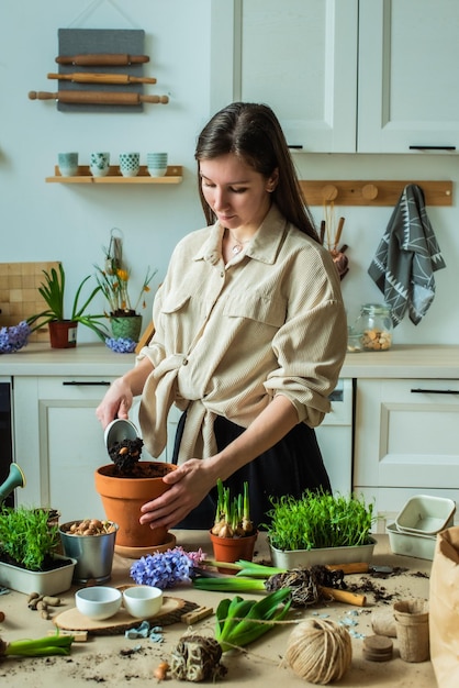 Girl transplants flowers and houseplants a young woman plants bulbs and microgreens in the kitchen