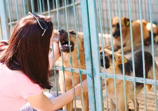 Girl volunteer in the nursery for dogs. Shelter for stray dogs.