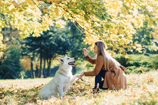 Girl walks at autumn park with young white Swiss shepherd dog