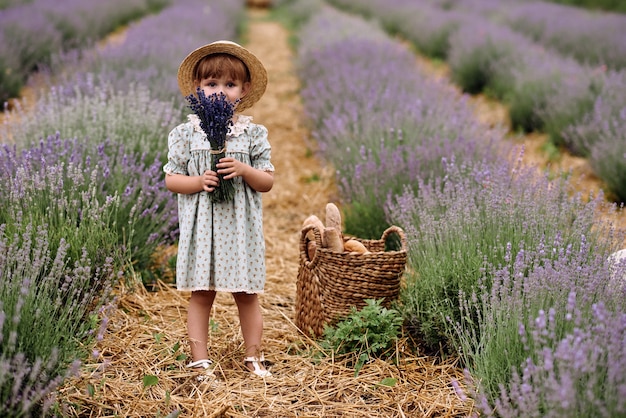 Girl walks collecting flowers on a lavender field.