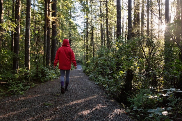 Girl wearing a bright red jacket is walking the the woods during a vibrant winter morning