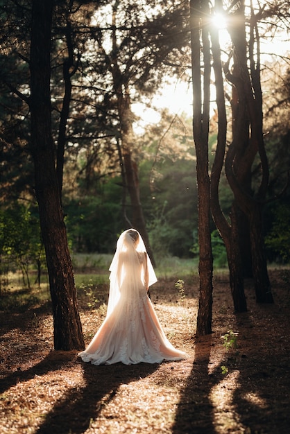 Girl in a wedding dress in the autumn forest against the background of wild trees