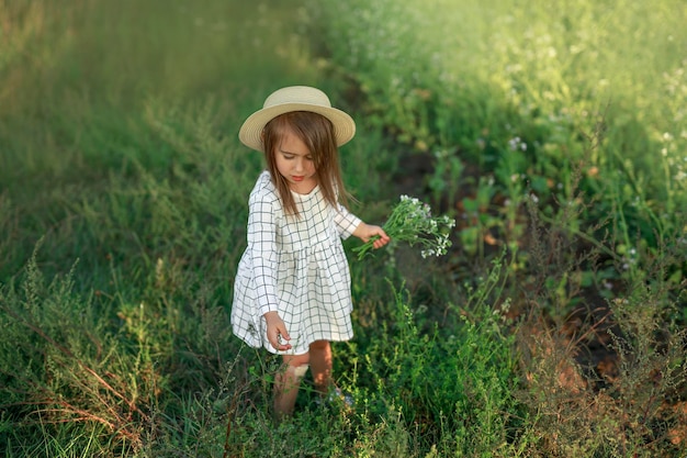 Girl in a white checkered dress and a hat collects a bouquet of flowers in the field