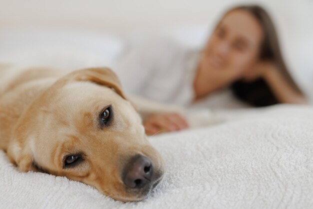 Girl in white clothes with dog labrador playing at home