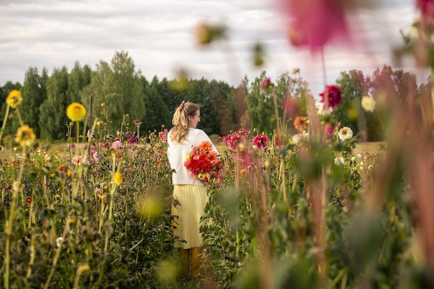 Girl with a bouquet of dahlias in the field