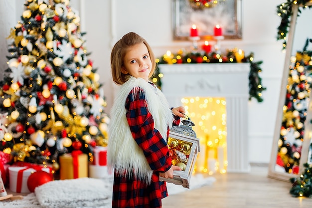 Girl with Christmas decoration