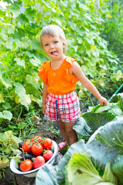 Girl with harvest vegetables in the garden