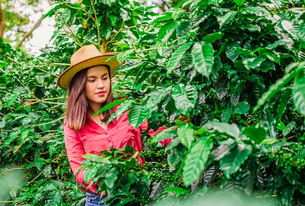 Girl with hat and pink shirt in coffee plantation