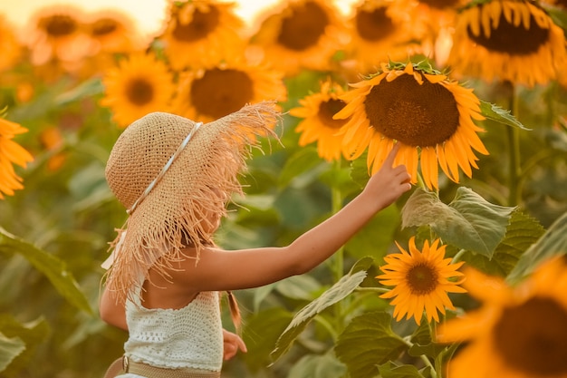 A girl with pigtails on a walk at sunset on a field of sunflowers examines a large flower. side view.