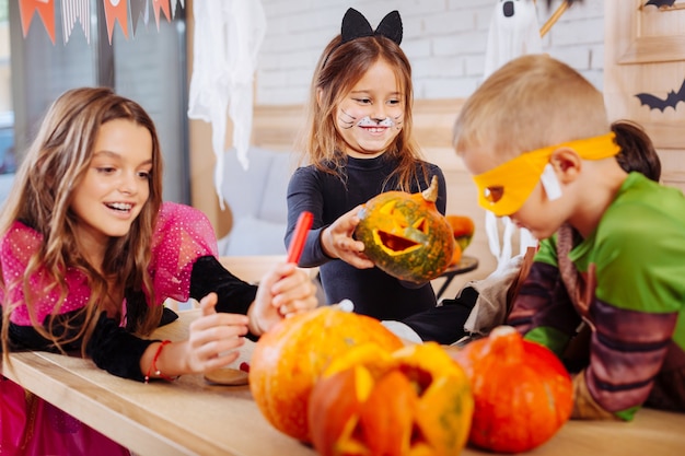 Girl with pumpkin. Cute smiling girl wearing cat costume feeling excited while holding little carved Halloween pumpkin