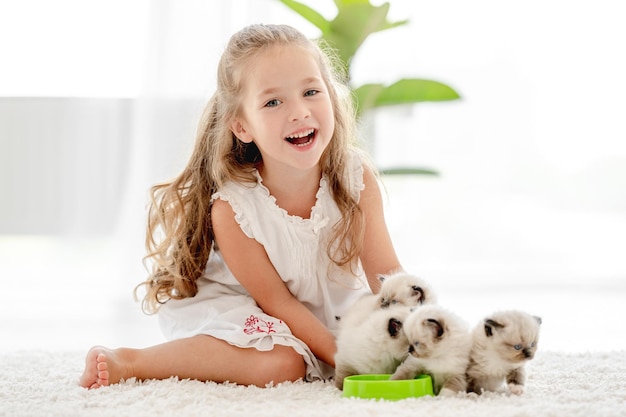 Photo girl with ragdoll kittens