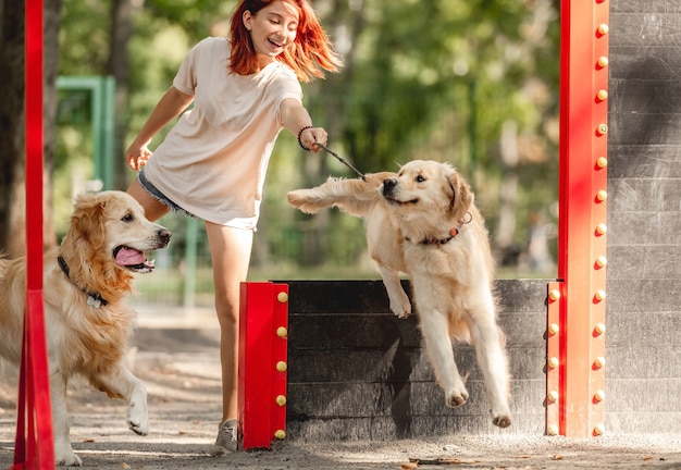 Girl with two golden retriever dogs training in the park. Female teenager with purebred pets outdoors