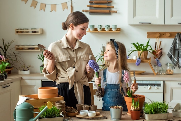 Girl and woman transplant flowers and indoor plants plant bulbs hyacinths microgreens together