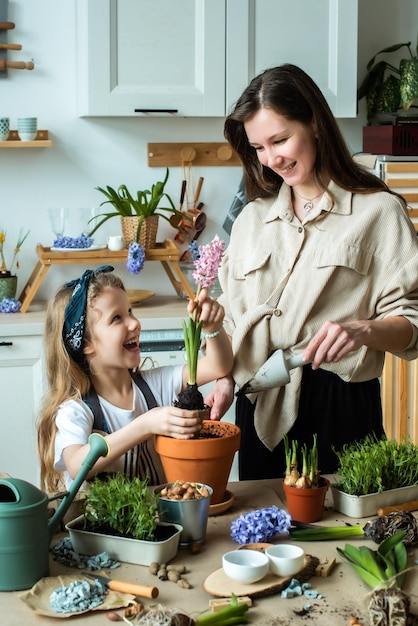 Girl and woman transplant flowers and indoor plants plant bulbs hyacinths microgreens together