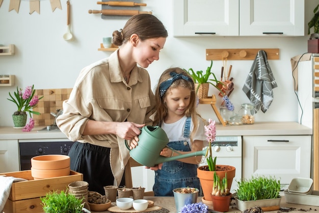 Girl and woman transplant flowers indoor plants plant and water hyacinths microgreens together