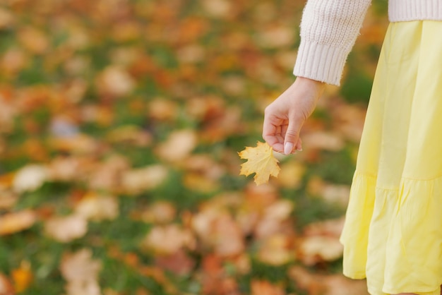 a girl in yellow clothes in an autumn park rejoices in autumn holding yellow leaves in her hands