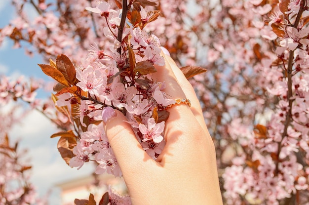 Photo girl039s hand holding a branch of spring flowers