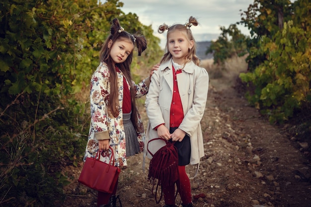 Girls in September to harvest vineyards , collect the selected grape bunches in Italy for the great harvest. biological concept id , organic food and fine wine handmade