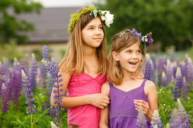 Girls walking in the field of lupine in the evening, holding hands