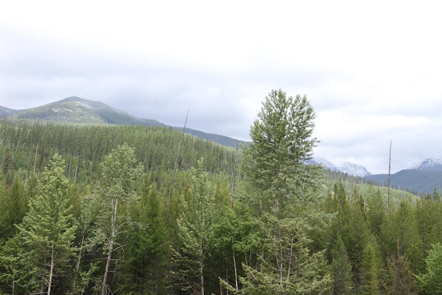 Glacier National Park Montana