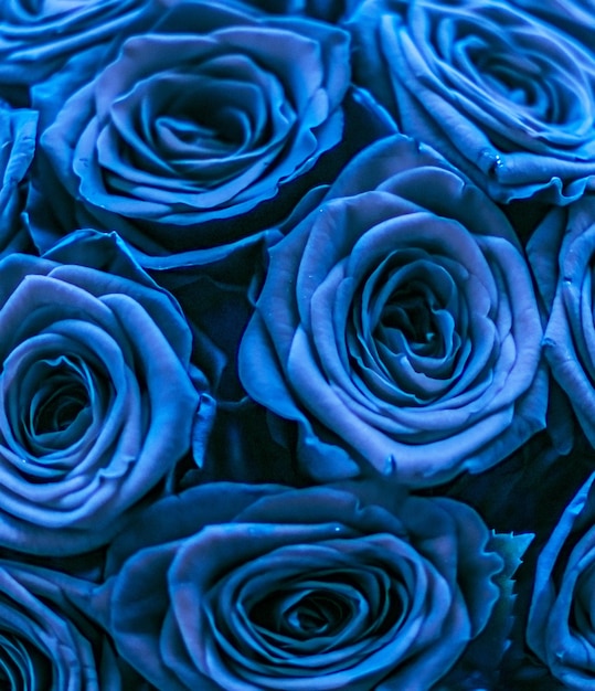 Glamour luxury bouquet of blue roses flowers in bloom as floral holiday background