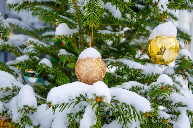 Glass balls hang on the branches of a spruce tree on the street under the snow.