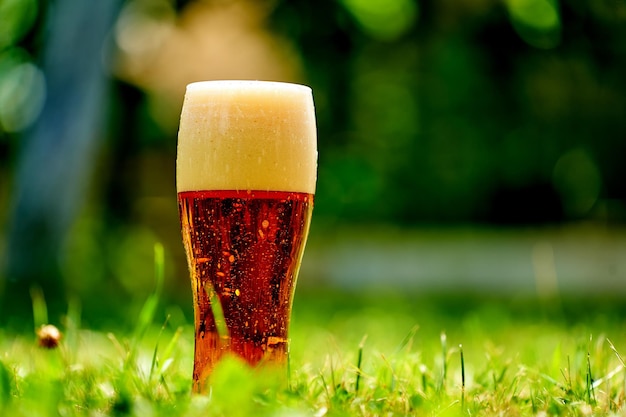 Glass of beer is standing on a grass with blurred city park on background Beer with foam Green and natural Alcohol and nonalcohol concept