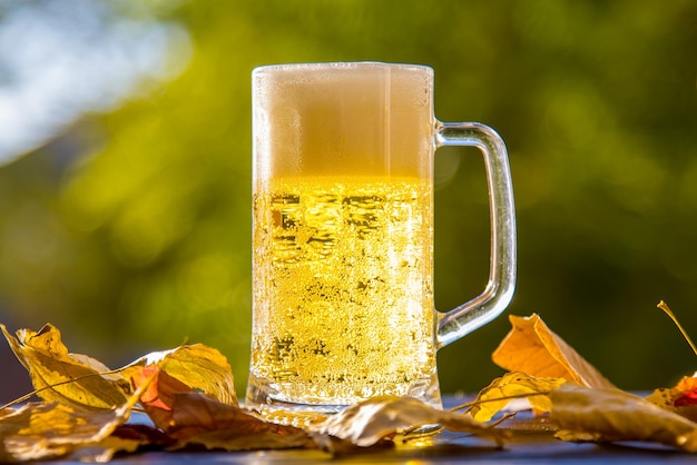 A glass of beer with yellow leaves Oktoberfest Autumn