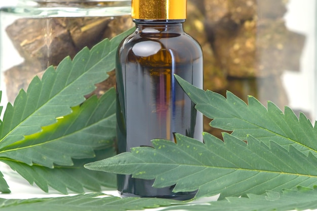 Glass bottle of cannabis oil and a jar of dried cannabis on a white background CBD Hemp oilhemp oil Medical marijuana products including cannabis leaf cbd and hash oil alternative medicine