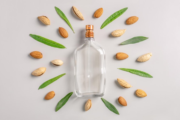 Glass bottle of perfume and nuts and green leaves of almond on a gray background