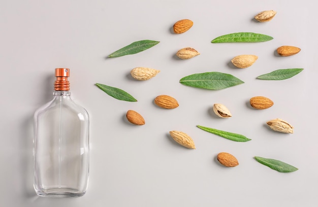 Glass bottle of perfume and nuts and green leaves of almond on a gray background