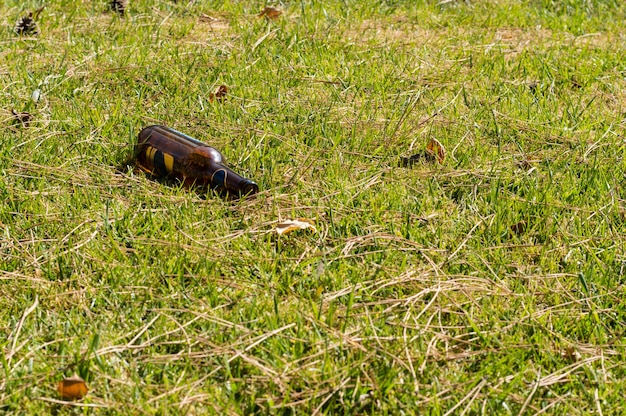 Glass bottle thrown on the green grass outdoors