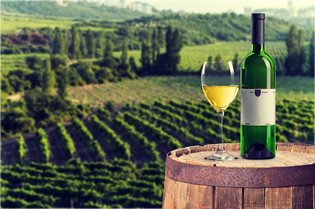 Glass and bottle of white wine on  background