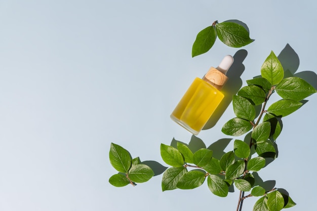 Glass bottle with cosmetic essential oil fresh green leaves on blue background Organic natural product Flat lay top view Copy space