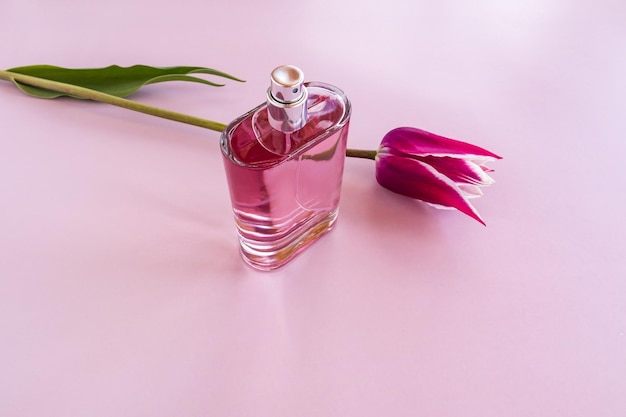 A glass bottle of women's perfume or toilet water with a delicate floral fragrance on a lilac background with a tulip a copy of the space