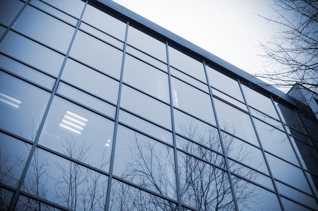 A glass building with a tree in the foreground