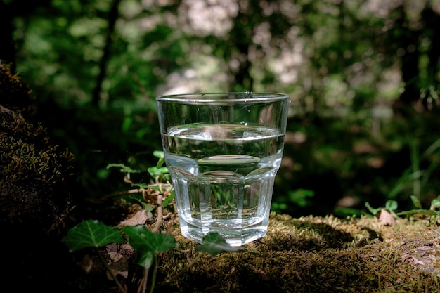 A glass of clean water on the nature in the forest and river Concept of a healthy lifestyle and environmental friendliness