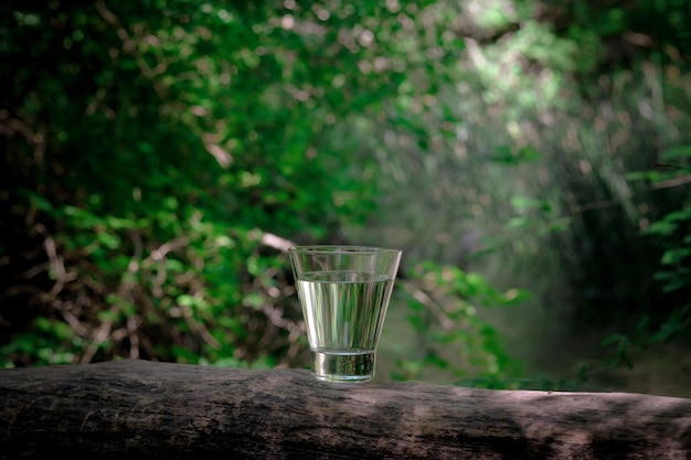 A glass of clean water on the nature in the forest and river Concept of a healthy lifestyle and environmental friendliness