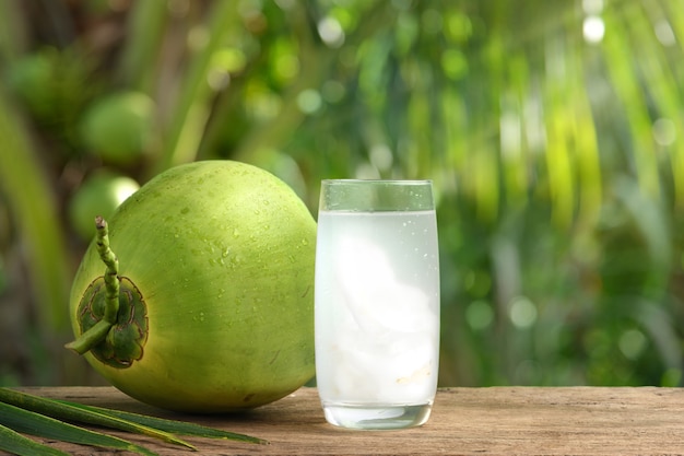 Glass of coconut juice with blurred coconut tree background.